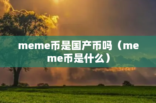 meme币是国产币吗（meme币是什么）