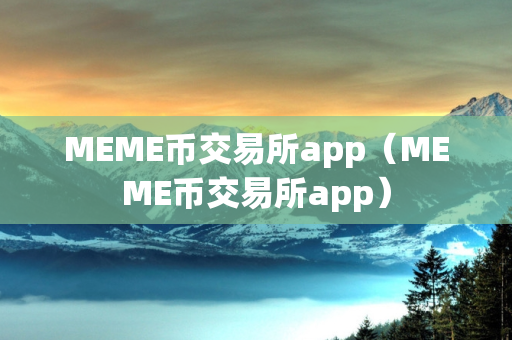 MEME币交易所app（MEME币交易所app）