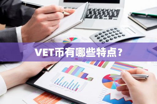 VET币有哪些特点？