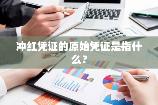 冲红凭证的原始凭证是指什么？