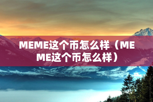 MEME这个币怎么样（MEME这个币怎么样）