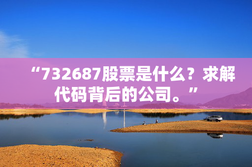 “732687股票是什么？求解代码背后的公司。”