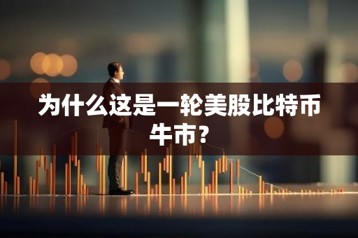 为什么这是一轮美股比特币牛市？