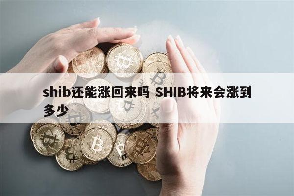 shib还能涨回来吗 屎币能涨到1元吗