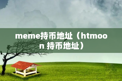 meme持币地址（htmoon 持币地址）