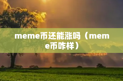 meme币还能涨吗（meme币咋样）