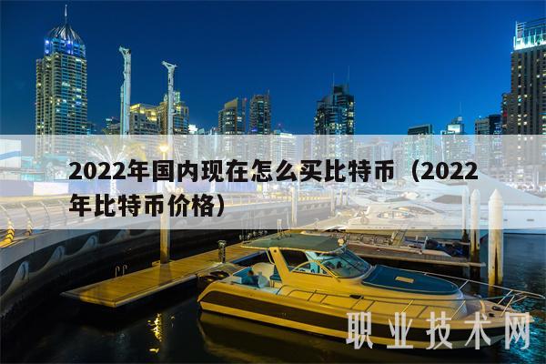 2022年国内现在怎么买比特币（2022年比特币价格