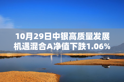 10月29日中银高质量发展机遇混合A净值下跌1.06%，今年来累计上涨5.03%