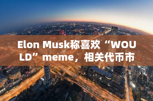 Elon Musk称喜欢“WOULD”meme，相关代币市值升至770万美元