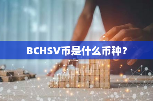 BCHSV币是什么币种？