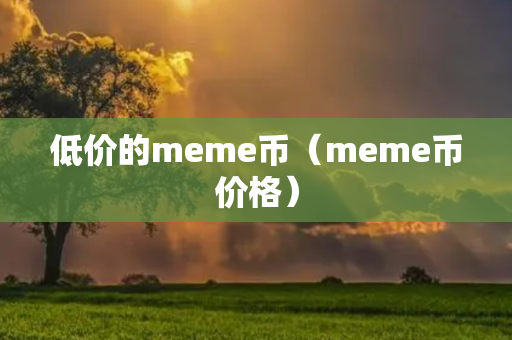 低价的meme币（meme币价格）