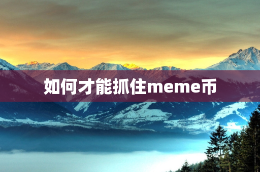 如何才能抓住meme币