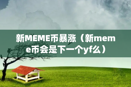 新MEME币暴涨（新meme币会是下一个yf么）