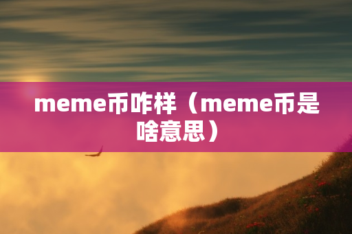 meme币咋样（meme币是啥意思）