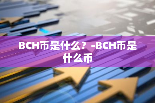 BCH币是什么？-BCH币是什么币