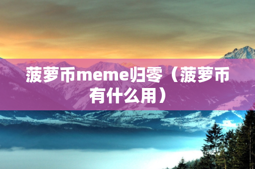 菠萝币meme归零（菠萝币有什么用）