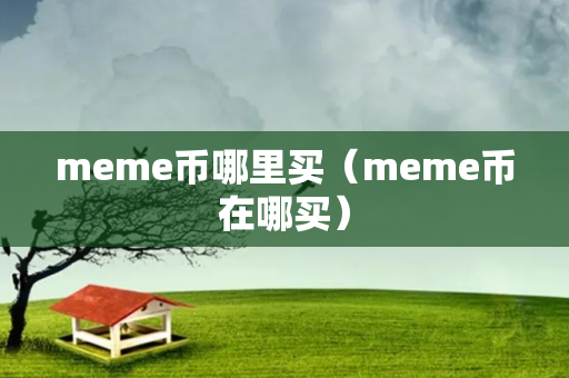 meme币哪里买（meme币在哪买）