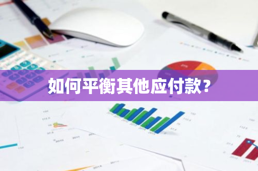 如何平衡其他应付款？