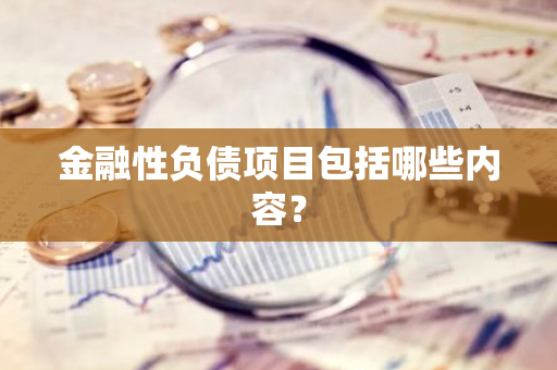 金融性负债项目包括哪些内容？