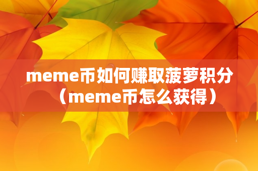 meme币如何赚取菠萝积分（meme币怎么获得）