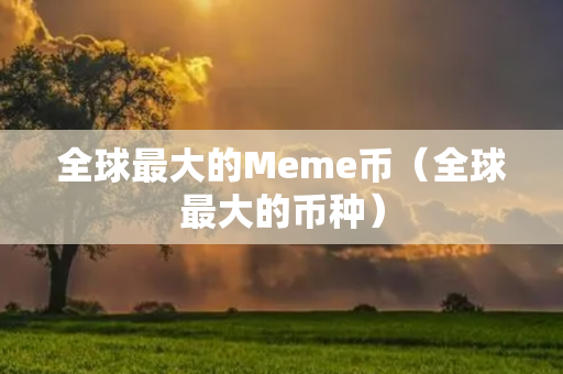 全球最大的Meme币（全球最大的币种）