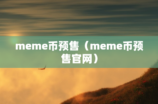 meme币预售（meme币预售官网）