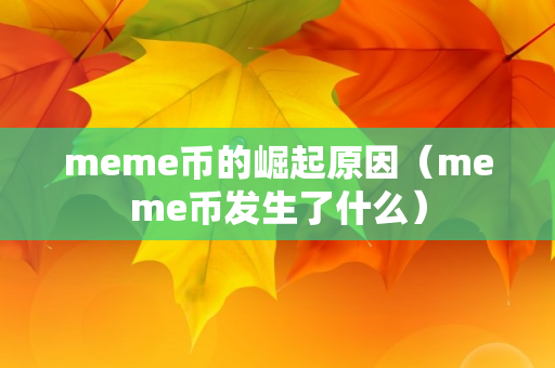 meme币的崛起原因（meme币发生了什么）