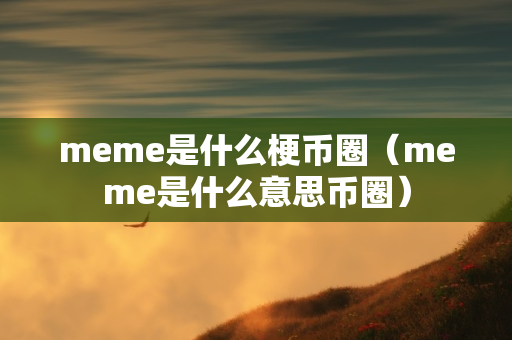 meme是什么梗币圈（meme是什么意思币圈）