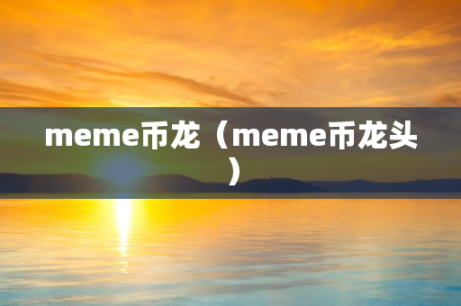 meme币龙（meme币龙头）