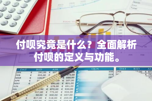 付呗究竟是什么？全面解析付呗的定义与功能。