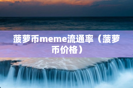 菠萝币meme流通率（菠萝币价格）