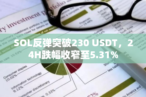 SOL反弹突破230 USDT，24H跌幅收窄至5.31%