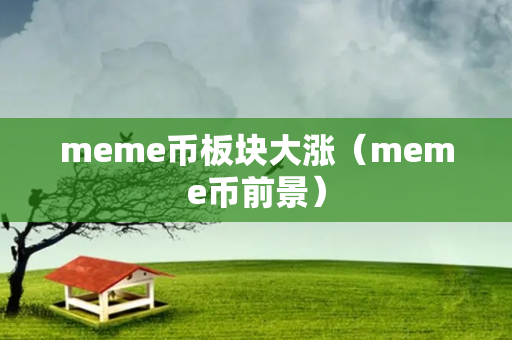 meme币板块大涨（meme币前景）