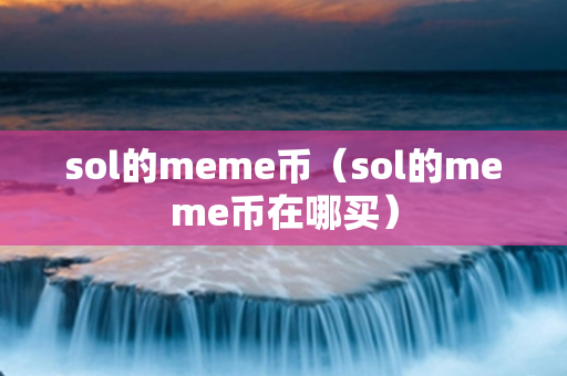 sol的meme币（sol的meme币在哪买）