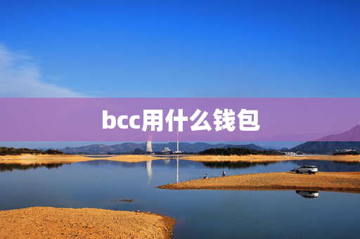 bcc用什么钱包