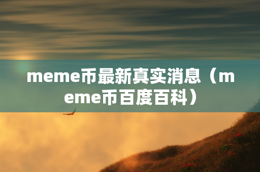 meme币最新真实消息（meme币百度百科）