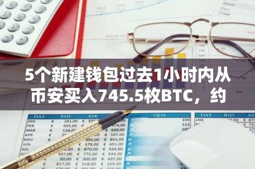 5个新建钱包过去1小时内从币安买入745.5枚BTC，约合5900万美元