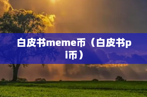 白皮书meme币（白皮书pi币）