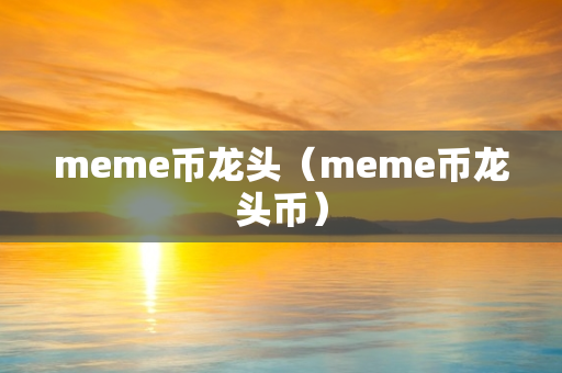 meme币龙头（meme币龙头币）