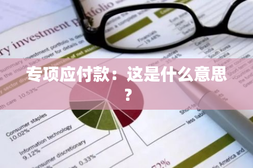 专项应付款：这是什么意思？