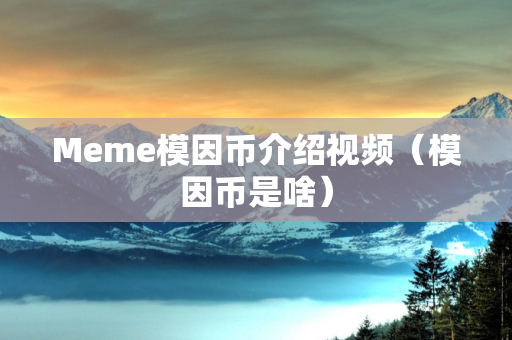 Meme模因币介绍视频（模因币是啥）