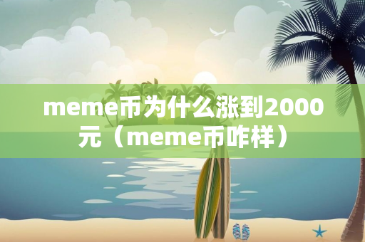 meme币为什么涨到2000元（meme币咋样）