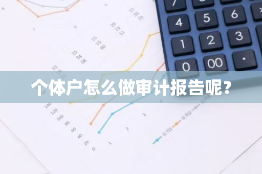 个体户怎么做审计报告呢？