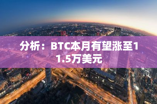 分析：BTC本月有望涨至11.5万美元