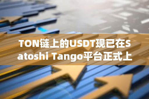 TON链上的USDT现已在Satoshi Tango平台正式上线