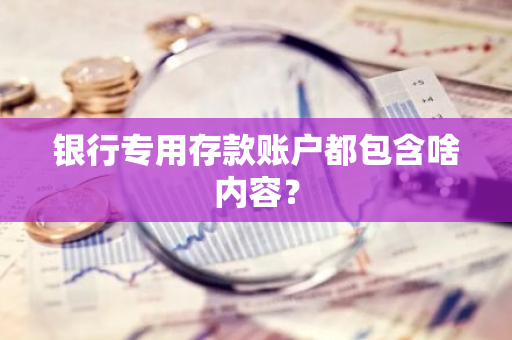 银行专用存款账户都包含啥内容？