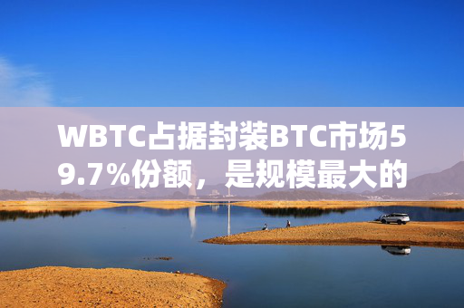 WBTC占据封装BTC市场59.7%份额，是规模最大的BTC封装代币