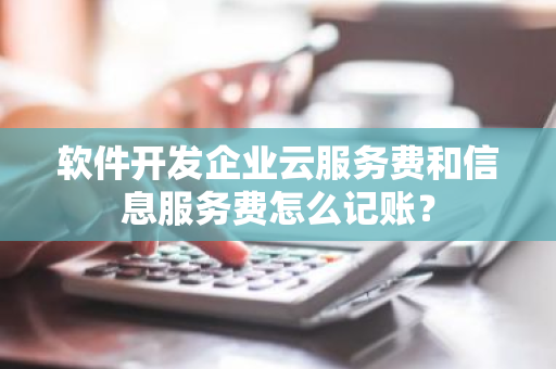 软件开发企业云服务费和信息服务费怎么记账？