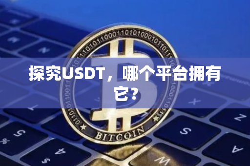 探究USDT，哪个平台拥有它？