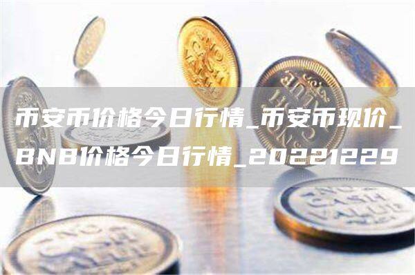 币安币价格今日行情_币安币现价_BNB价格今日行情_20221229